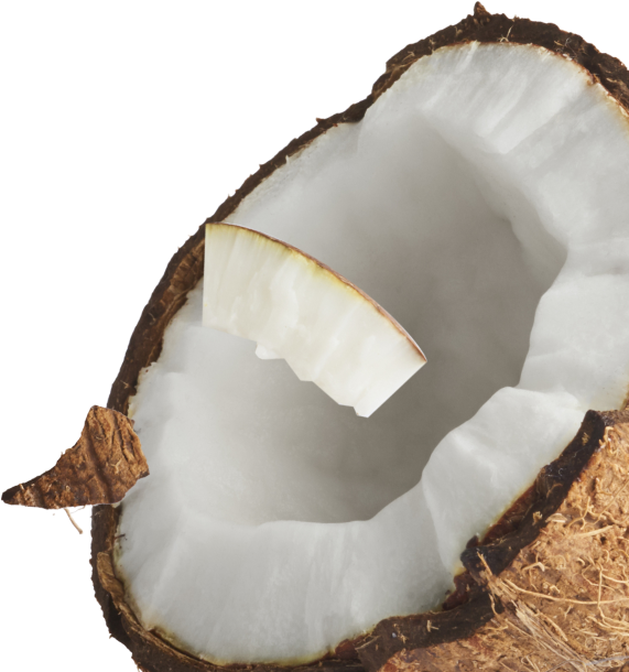 Coffee Fruit