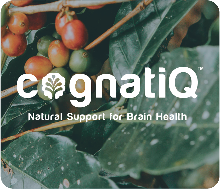 A natural way to build and repair your mind. - CognatiQ.