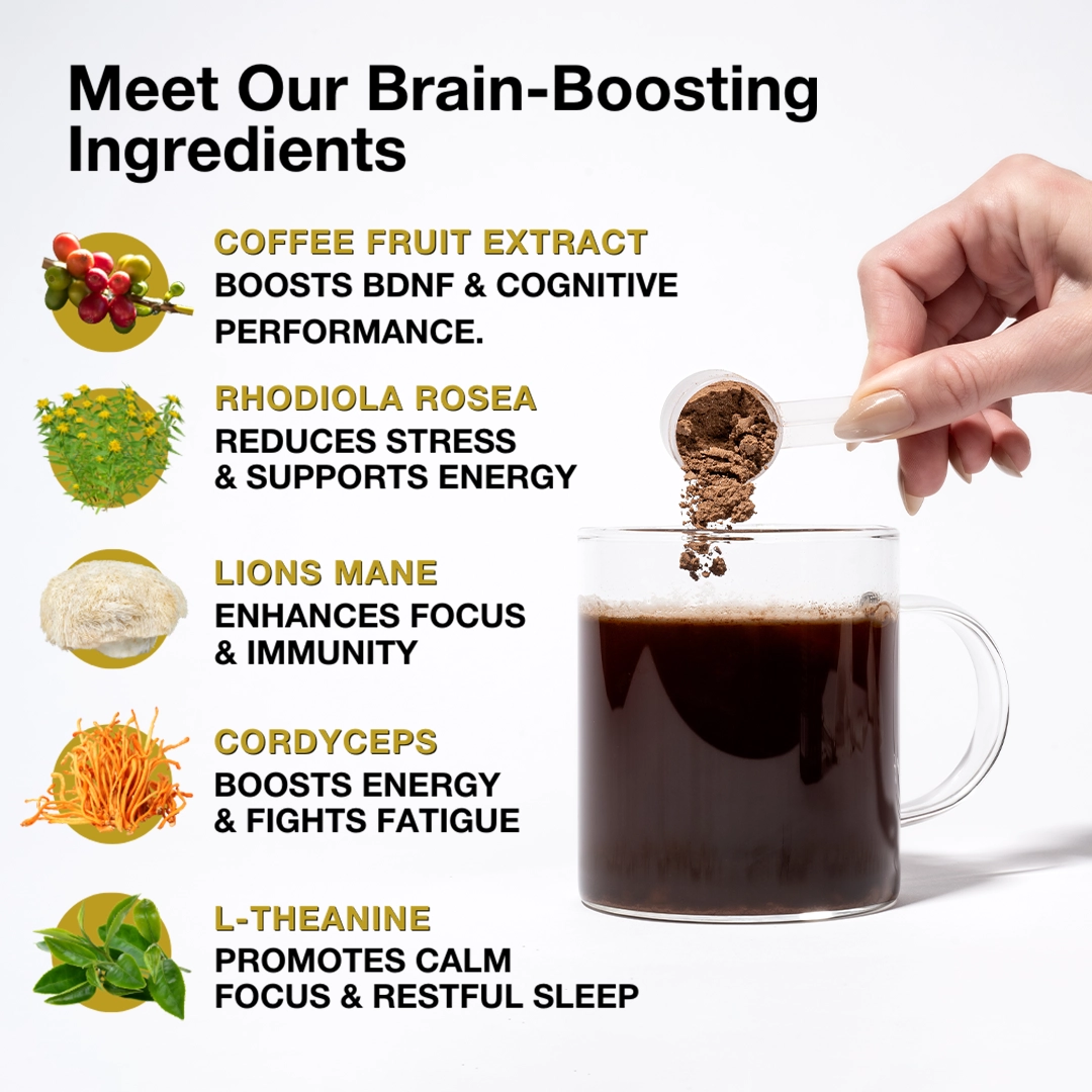 Brain Boost